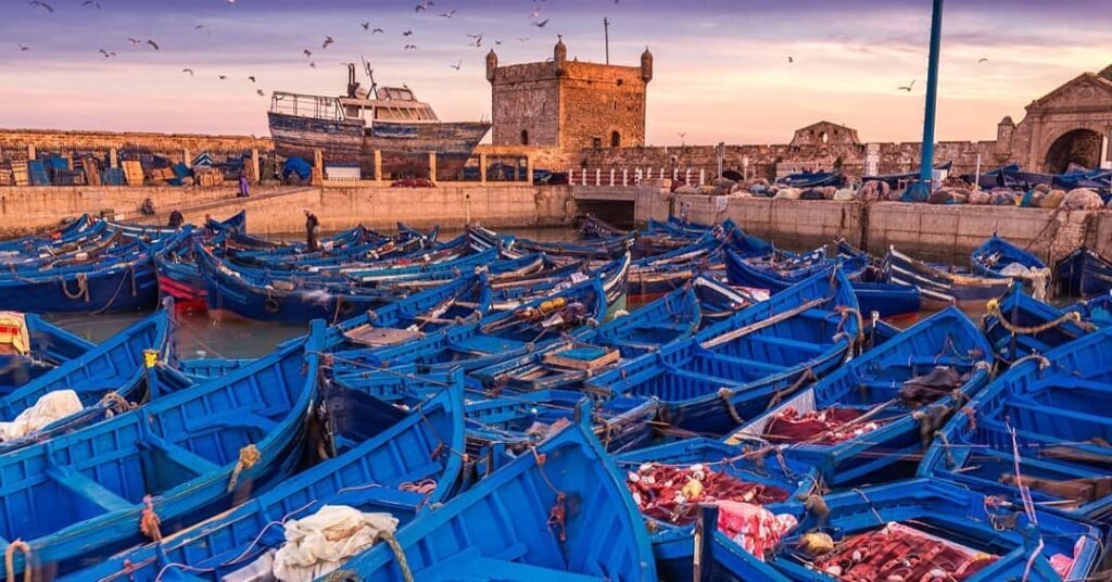 Complete Essaouira Day Trip Guide from Marrakech: UNESCO Coast Adventure